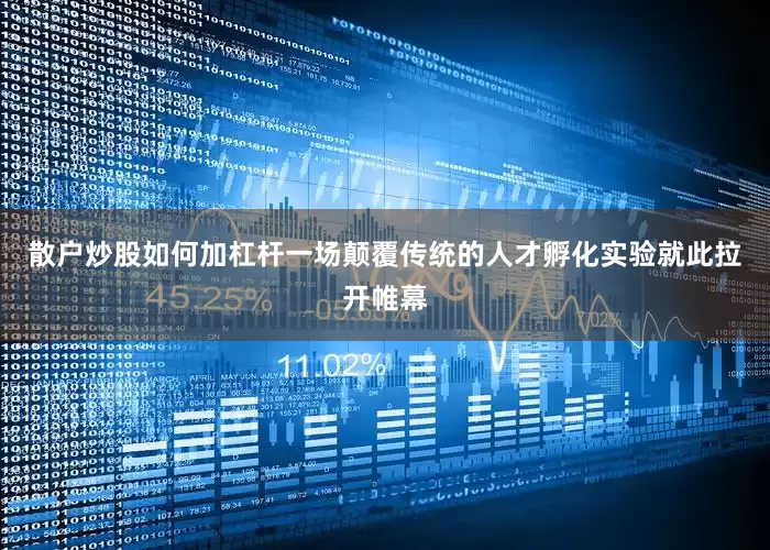散户炒股如何加杠杆一场颠覆传统的人才孵化实验就此拉开帷幕